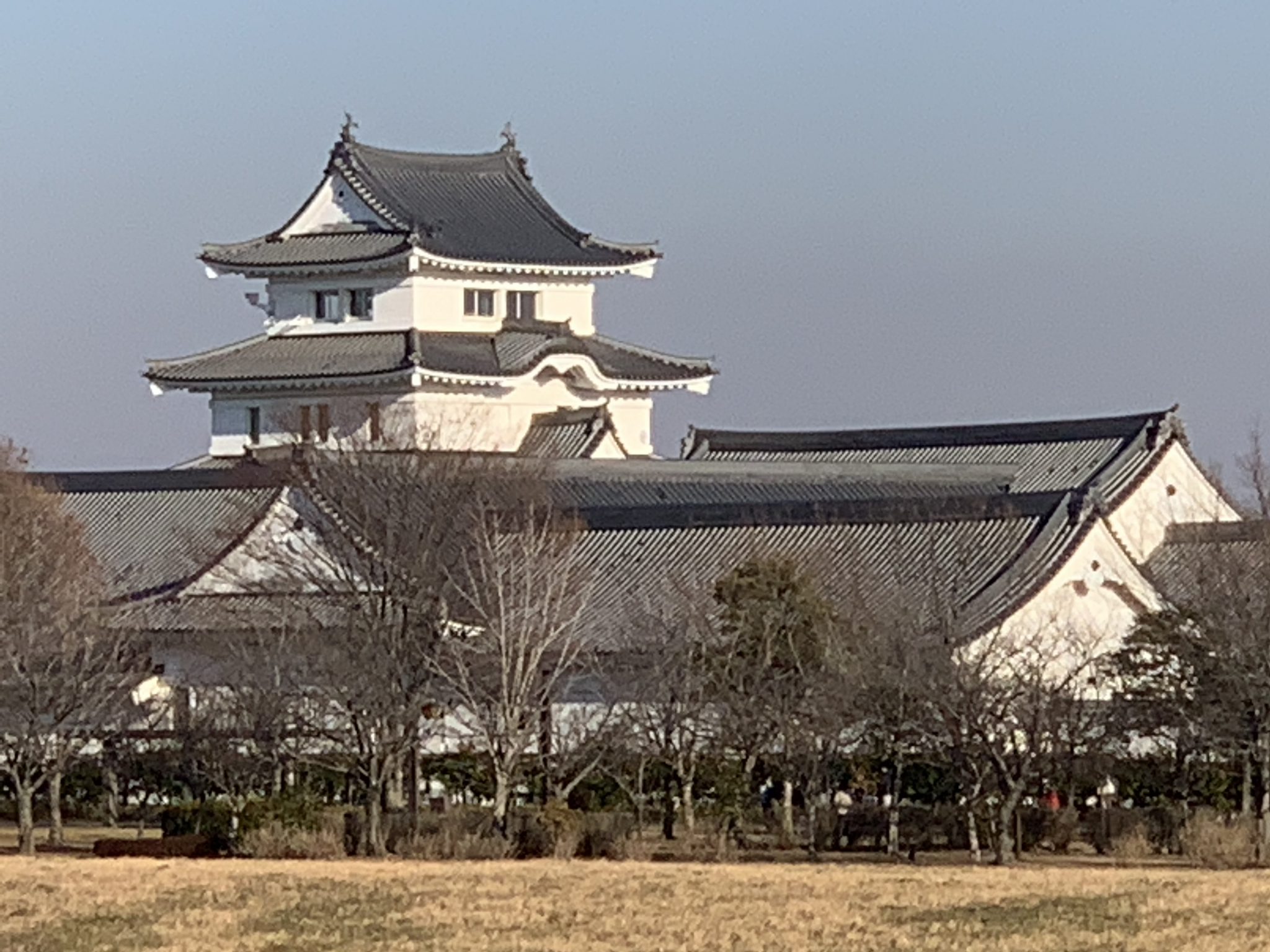 関宿城画像