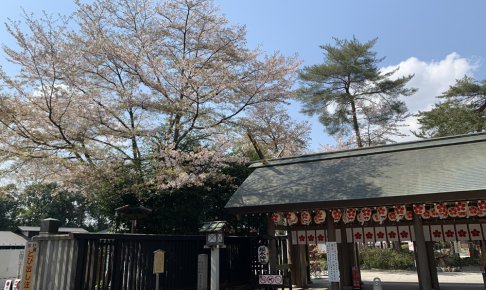 櫻木神社前