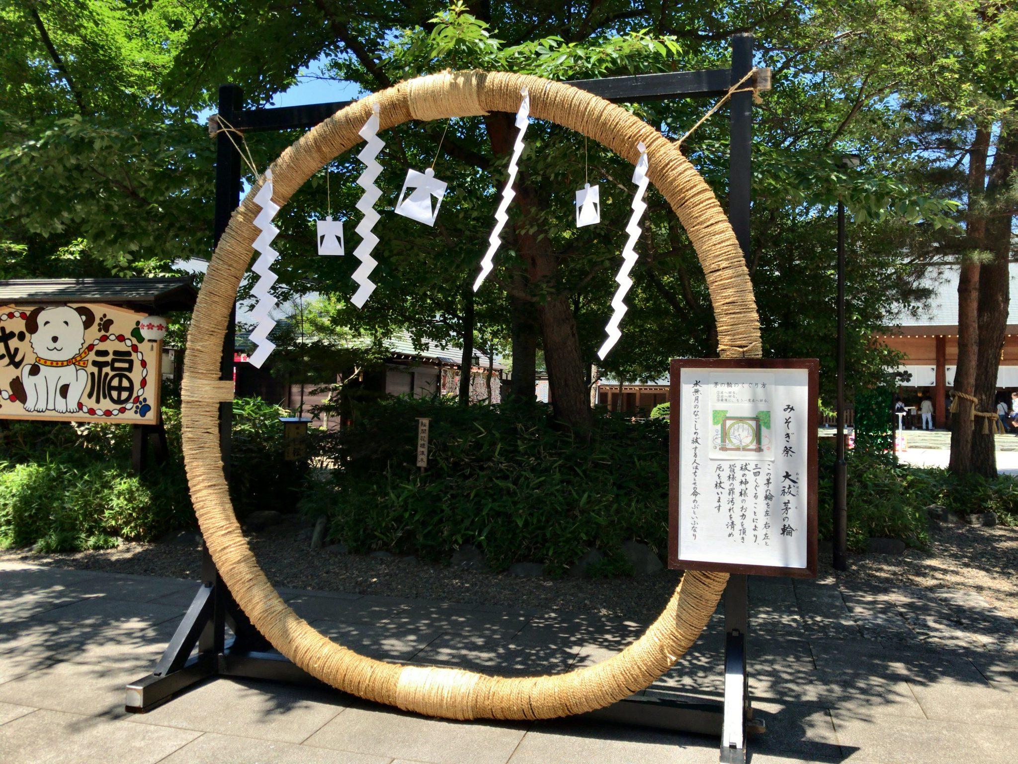 桜木神社茅の輪