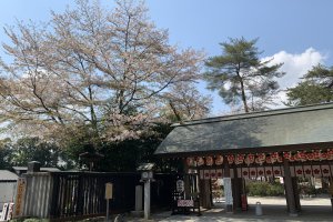 櫻木神社前